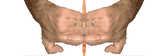 daphOBIRTH