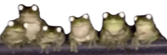 frogCouncil emote