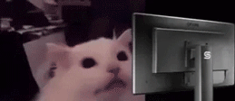 FLASHBANG emote
