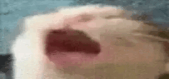 AAAA emote