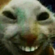 XDDD emote