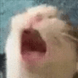 AAAA emote