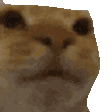 AWKWARD emote