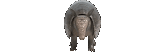 Alexandre emote
