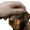 jermaOttoPetHD