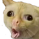 lozCough