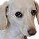 ItsNotJune