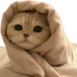 CozyCat emote