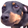 jermaOtto