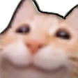 ALEGRAS emote