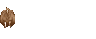 fat horse walking in a circle around a bottle of glue