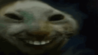 xddKiss emote