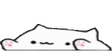 bongoWide