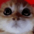 RageyBoom emote