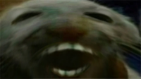 DDDX emote