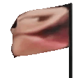 FLAGGEDpog emote