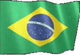 BRAZIL emote