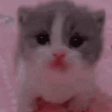 Scared emote