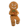 gingerPls