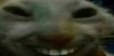 Jijiji