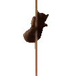 catPole emote
