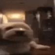 BeloHorizonte emote