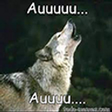 AUUU emote