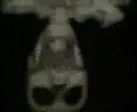 AINTNAURWAY emote