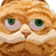 garfieldFACE
