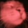 catRAVE