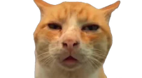 HUHH emote