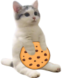catSitCookie emote