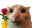 catRose