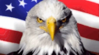 Freedom emote