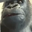 AYOO emote
