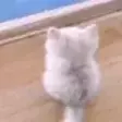 Esperando emote