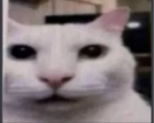 Elcuando emote