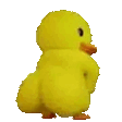duckJAM emote