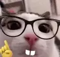 plinkGe emote