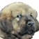 kayaStare