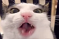 Crunch