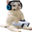 Catsittingandgaming emote