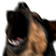 yionScreech