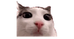 Plinktosis