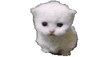 Mitosis emote