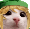 pLink emote