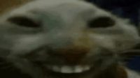 xddLaugh emote