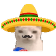 MuchoGato emote