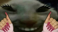 xddPeriod emote
