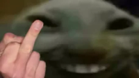 xddFU emote